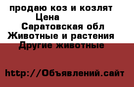 продаю коз и козлят › Цена ­ 5 000 - Саратовская обл. Животные и растения » Другие животные   